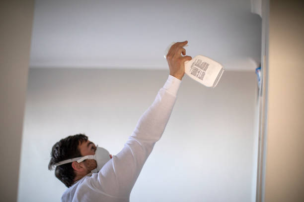 Best Black Mold Remediation in Crescent City, FL